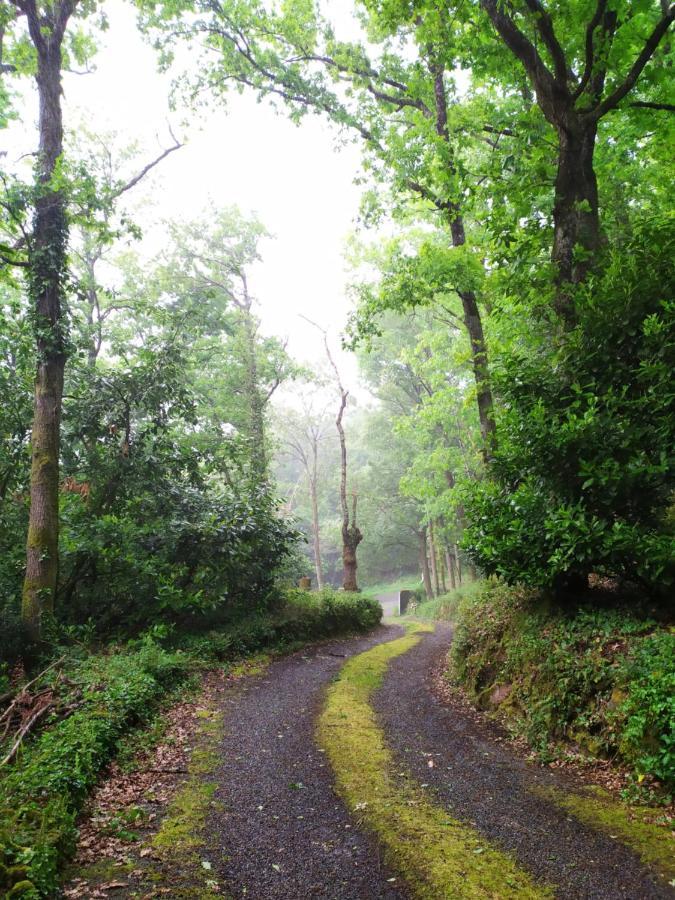 Les Gites Des Beaux Chenes Mortagne-sur-Sevre Eksteriør bilde